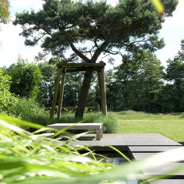 Ein kontemplativer Garten