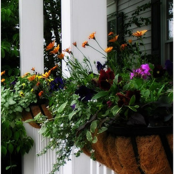 the decor stylist - Noreen Wolohan