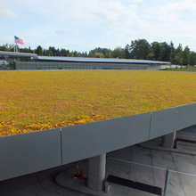Green roof