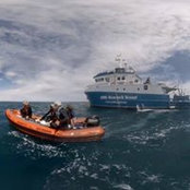 Neal Cantin's photo