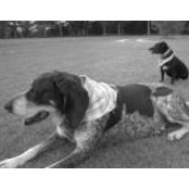 Liz Joyner Miller's photo