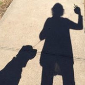 Jackie Cassidy's photo