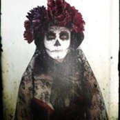 Claudia Phoenix's photo