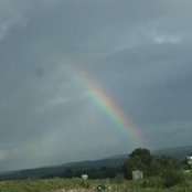 Joan Binnie's photo