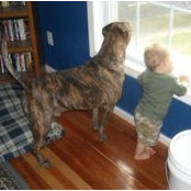 Beverly Webb's photo