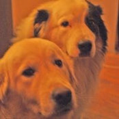 Capy Taul's photo