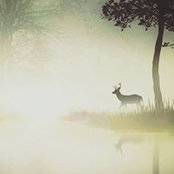 Diep Quynh Pham's photo