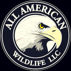All American Wildlife