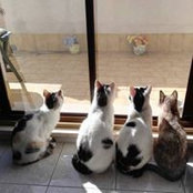 Foto von Elisa Alessandrini