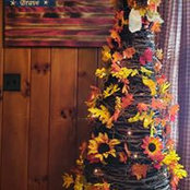 Tammy Harmon's photo
