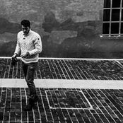 Niccolò Guizzardi's photo