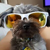 Sabina Prevo's photo