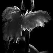 Eve Fallen's photo