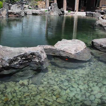 Swim Pond
