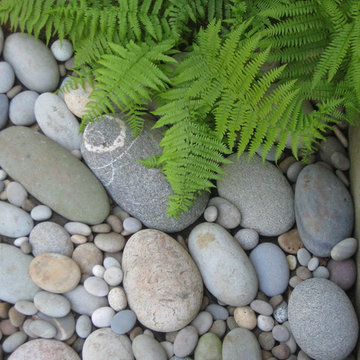 My Garden