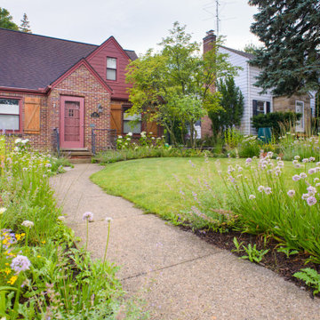 Neglected Landscape Turns into Pollinator Paradise