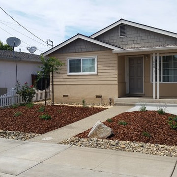 Drought Tolerant