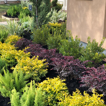 The Reserves of Katy Landscape Project