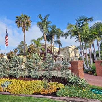 Corner View — King and Queen Palms Set the Stately Tone