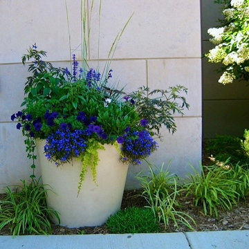 Containers, DC Metro Area