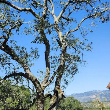 Greenview Tree Care