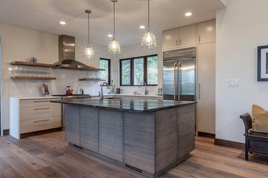 Kitchen - modern kitchen idea in Other