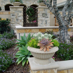 Cette image montre un jardin méditerranéen avec une pente, une colline ou un talus et des pavés en pierre naturelle.