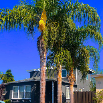 Venice Cottage-style Residence