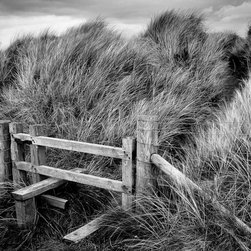 Landscapes/Nature - Artwork
