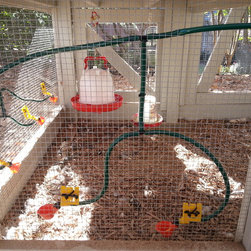 Automatic Gravity Fed Rainwater Harvesting Chicken Watering System - Products