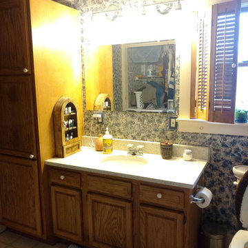 Master Bathroom Renovation - BEFORE
