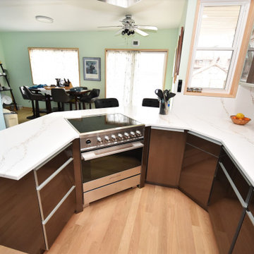 Kitchen Cabinets & Remodeling - St. Louis Ave. Chicago, IL