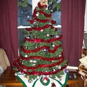 Darlene Endress's photo