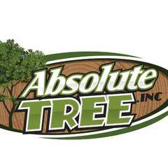 Absolute Tree Inc