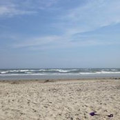 Kristy Basara's photo