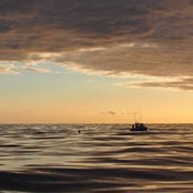 Billy Dimitropoulos's photo