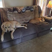 Donna Bennett's photo