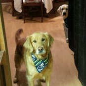 Floyd Dorry's photo