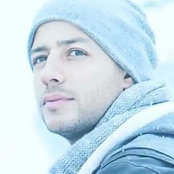 Foto de wolf golden