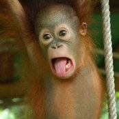 Jennifer Geske's photo