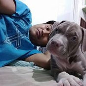 Dondon Hista's photo