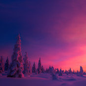 E. R. J.'s photo