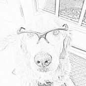 Steven Darroch's photo