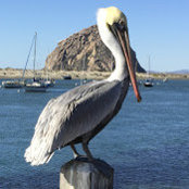 John Lewan's photo