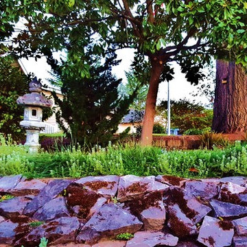 Lakeshore Rain Gardens, Pathway-Patio & Pond