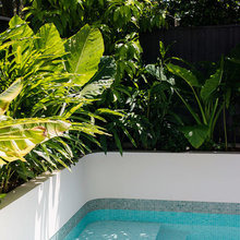 Garden plants
