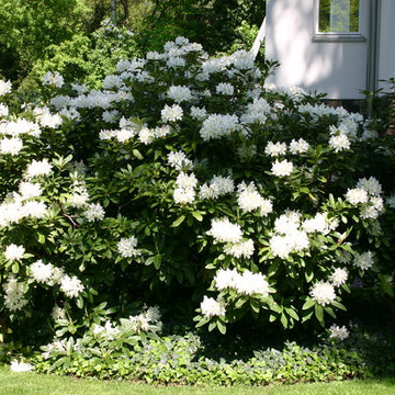 Garten in weiß