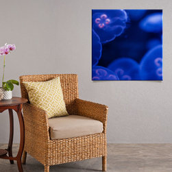 Jellyfish: Square Print - Prints And Posters