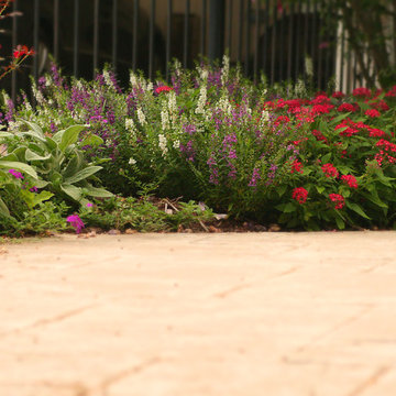 Verdant Portfolio of Projects