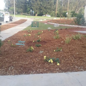 My Work